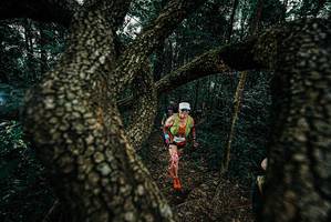 BIB: 
                            <button type="button" onclick="openModal(25685891)" class="btn btn-primary btn-sm float-right btn-popup" data-toggle="modal" data-target=".modal-high-quality">
                        <i class="fas fa-shopping-cart"></i> Add to Cart
                    </button>
                                            <button type="button" onclick="isThisMe(25685891, true)" class="btn btn-success btn-sm float-right btn-popup btn-isme hidden" data-toggle="tooltip" data-placement="bottom" title="นี่คือรูปของคุณใช่ไหม คลิกที่นี่เพื่อเอาเข้าอัลบั้ม">
                        <i class="fas fa-plus"></i> Add to album
                    </button>
                    <button type="button" onclick="isThisMe(25685891, false)" class="btn btn-warning btn-sm float-right btn-popup btn-isnotme hidden">
                        <i class="fas fa-ban"></i> Remove from album
                    </button>